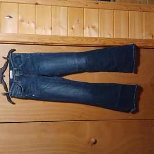 Flying Monkey *Distressed* HI Rise Flare sz 25